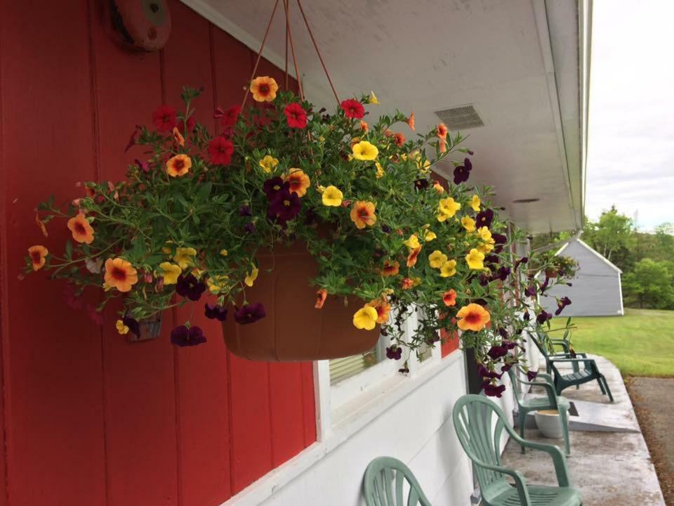 Webbers Lake Charlotte Motel Queen And Double Bed Exteriér fotografie